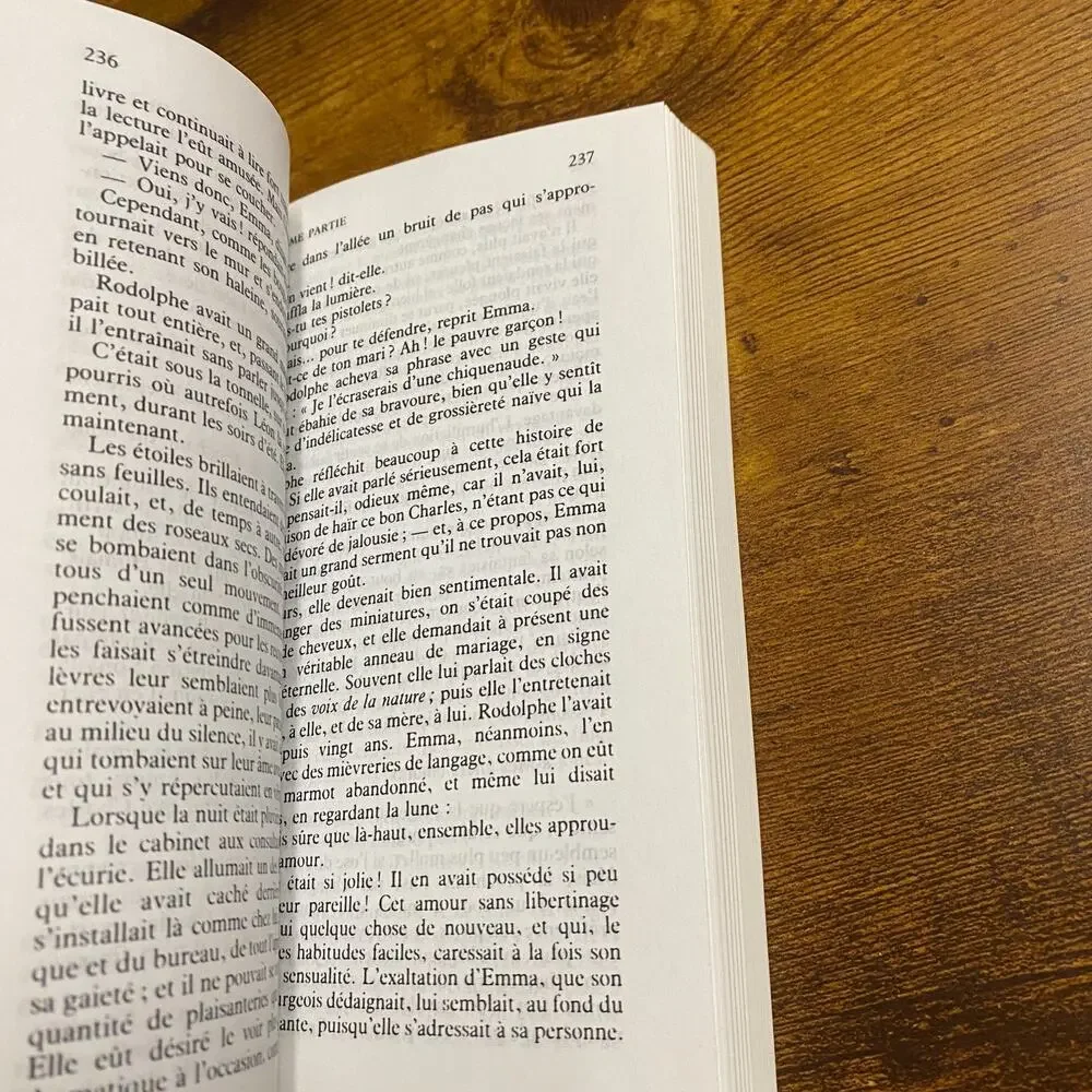 book madame bovary